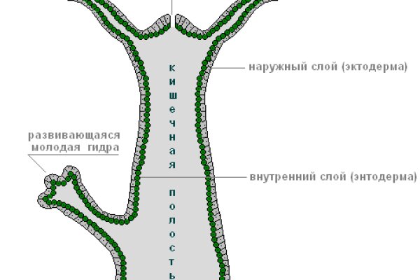 Ссылка кракен через тор