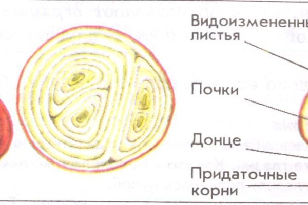 Что такое кракен маркетплейс в россии