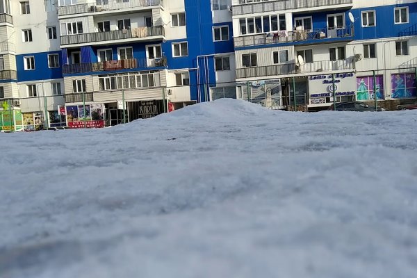 Через какой браузер можно зайти на кракен